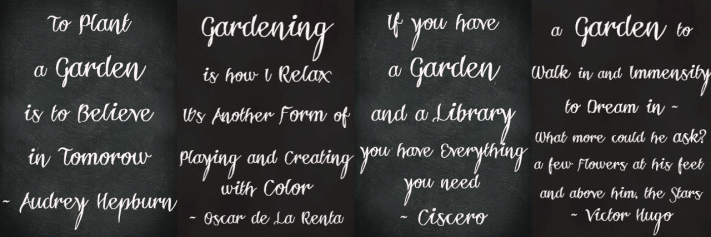 About-Gif--Feature-Image-